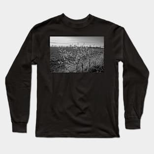 Hedge row in the countryside at dusk Long Sleeve T-Shirt